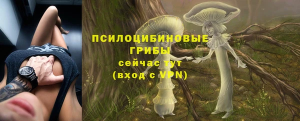 МДМА Абаза