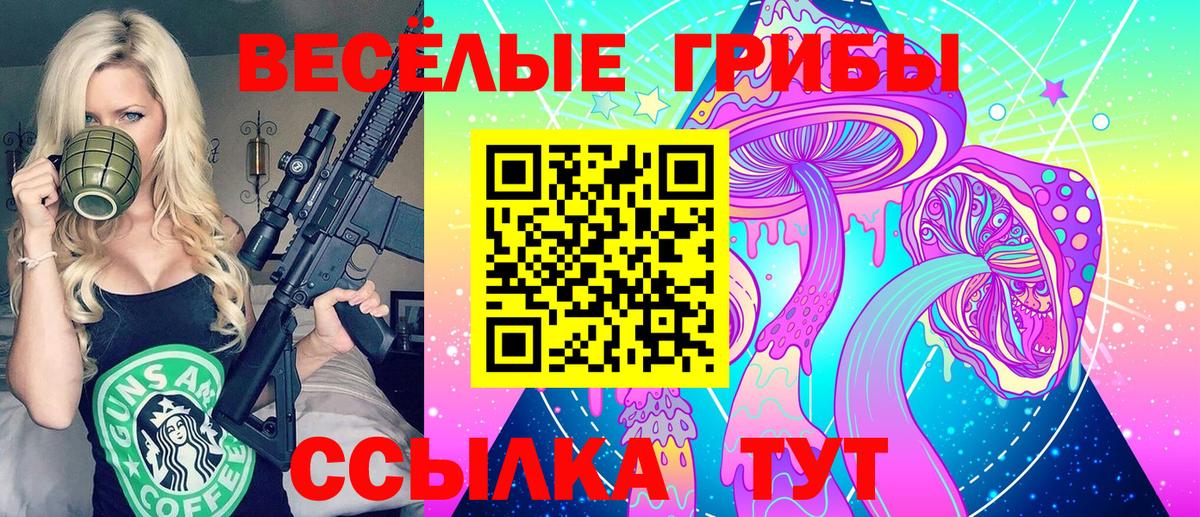 Галлюциногенные грибы GOLDEN TEACHER Кострома