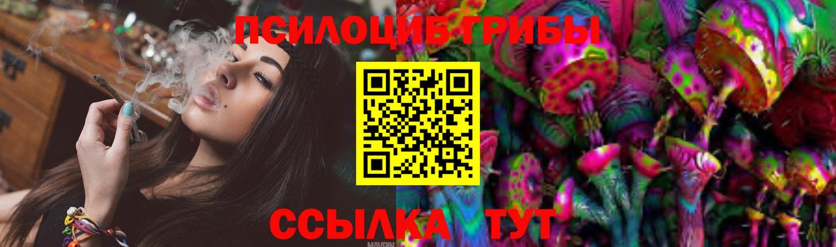Кострома  Псилоцибиновые грибы Psilocybine cubensis  Галлюциногенные грибы Cubensis  Вход с VPN 